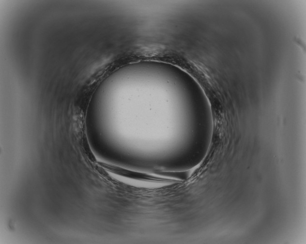 X0000097781349200803141758