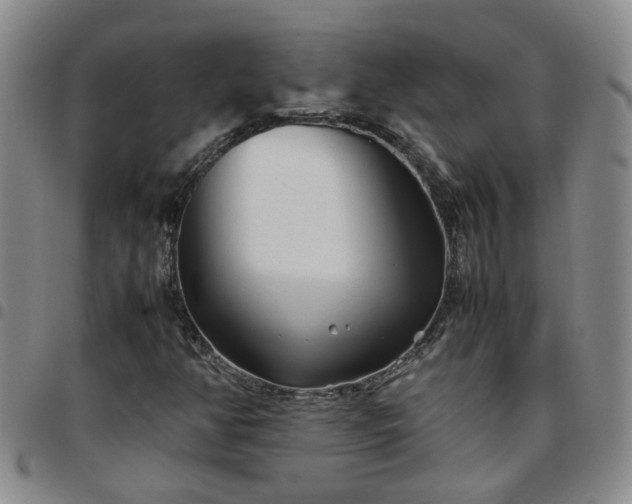 X0000097781350200803141758