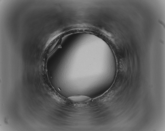 X0000097781352200803141758