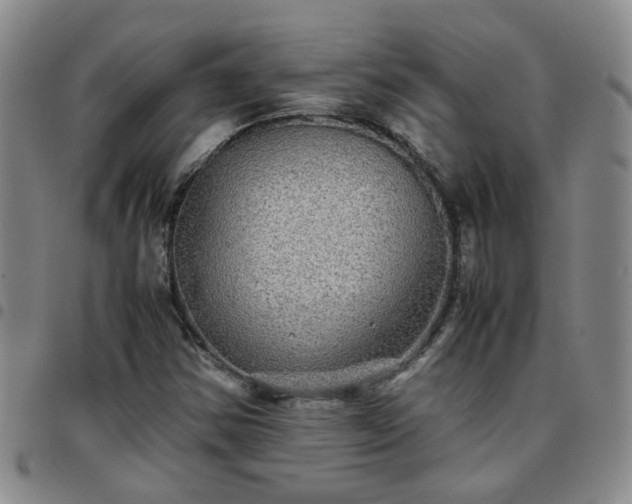 X0000097781354200803141758