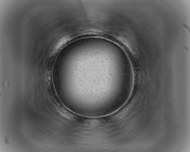 X0000097781355200803141758