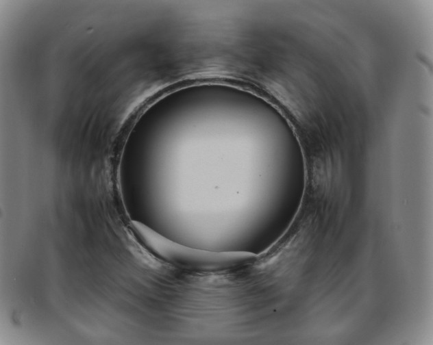 X0000097781356200803141758