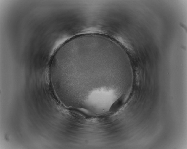 X0000097781358200803141758