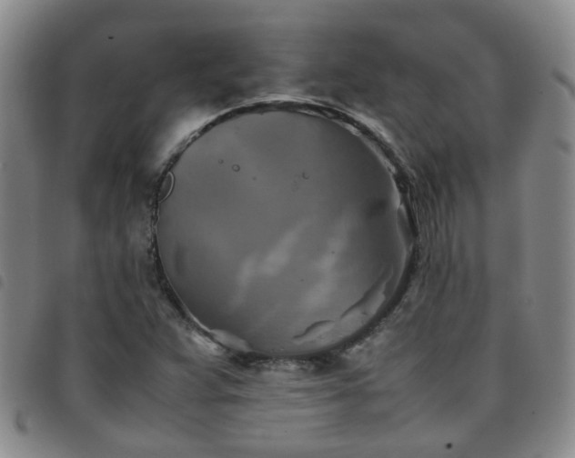 X0000097781359200803141758