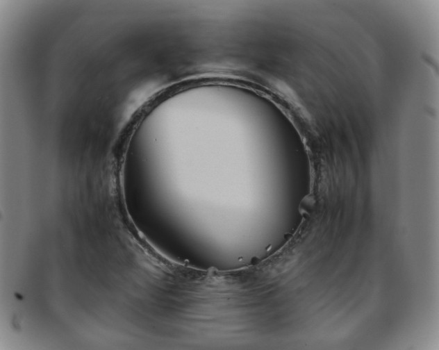 X0000097781360200803141758