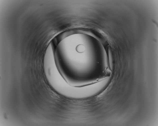 X0000097781361200803141758
