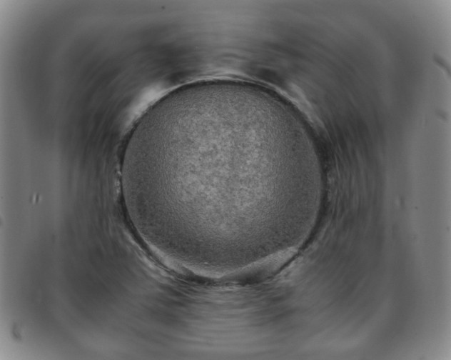 X0000097781363200803141758