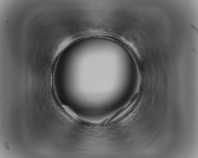 X0000097781365200803141758