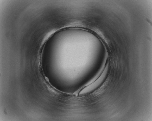 X0000097781366200803141758
