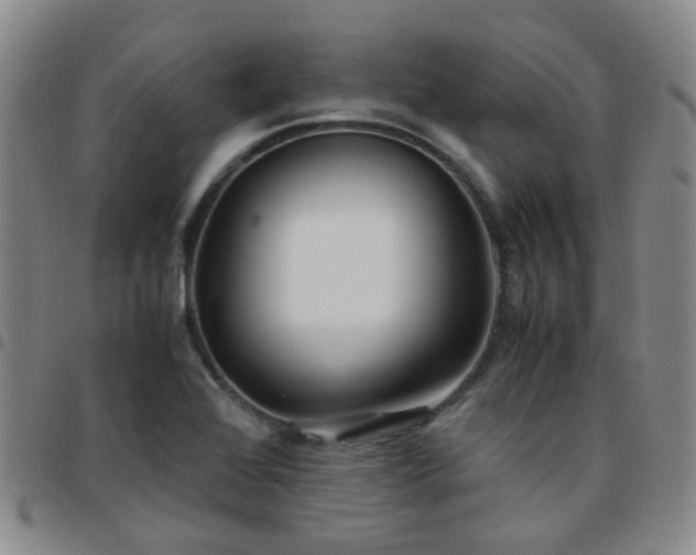 X0000097781368200803141758