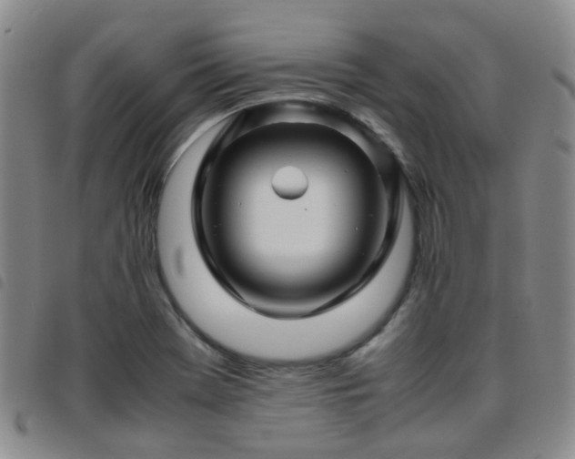 X0000097781369200803141758