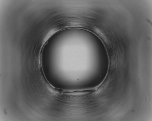 X0000097781370200803141758