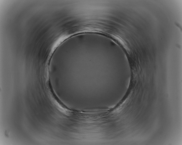 X0000097781371200803141758