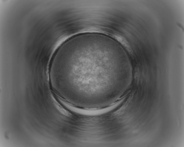 X0000097781372200803141758