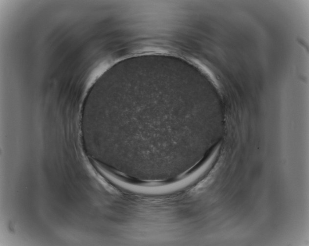X0000097781373200803141758