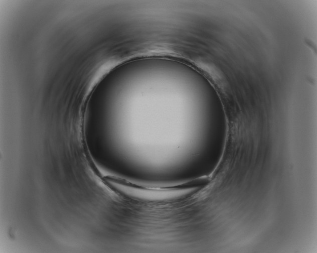 X0000097781374200803141758