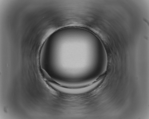 X0000097781375200803141758