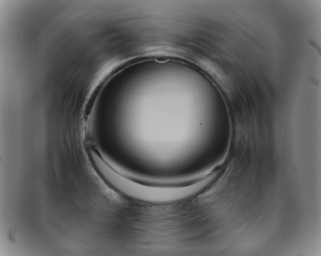 X0000097781376200803141758