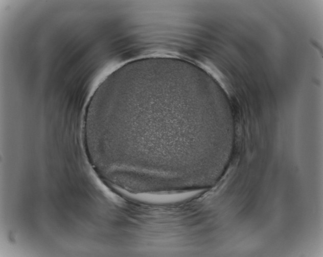 X0000097781379200803141758