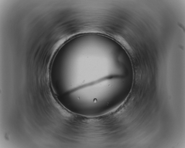 X0000097781380200803141758