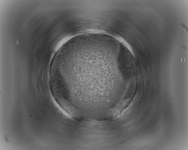 X0000097781381200803141758