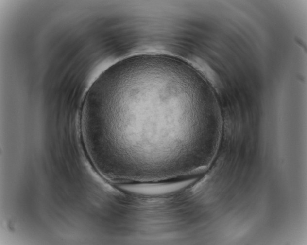 X0000097781382200803141758