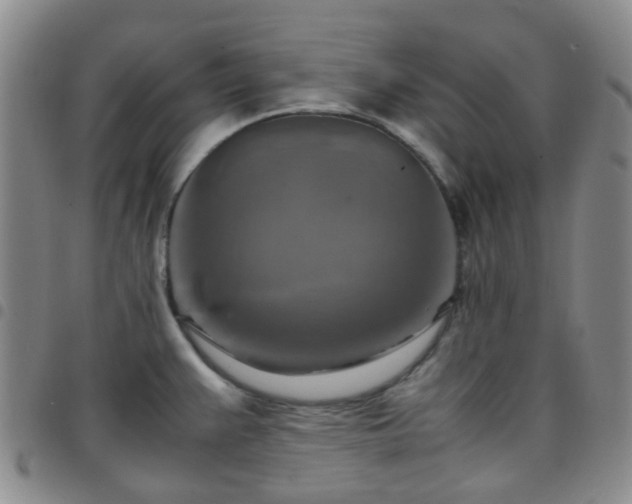 X0000097781383200803141758