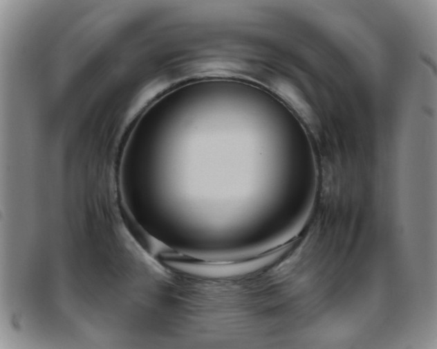 X0000097781384200803141758