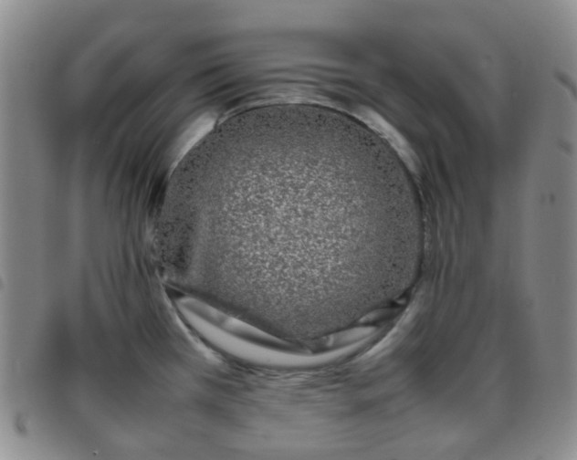 X0000097781385200803141758