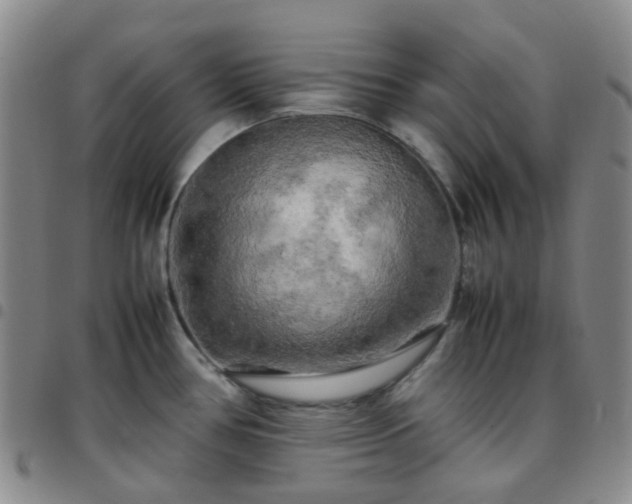 X0000097781386200803141758