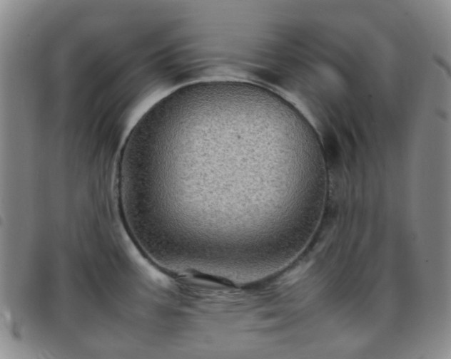 X0000097781387200803141758