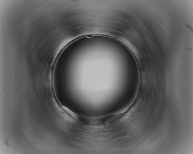 X0000097781388200803141758
