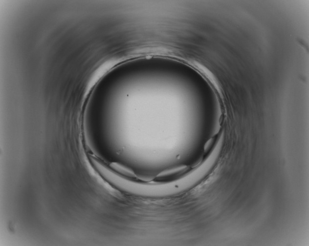 X0000097781389200803141758
