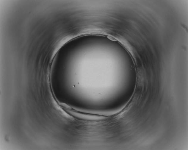 X0000097781390200803141758