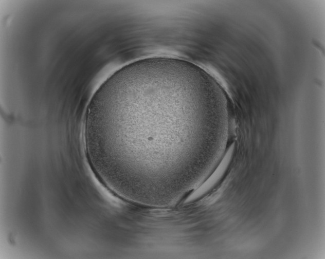 X0000097781391200803141758