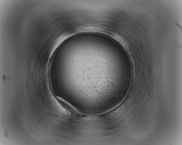 X0000097781392200803141758