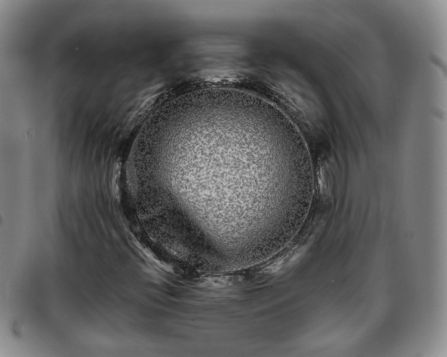 X0000097781396200803141757