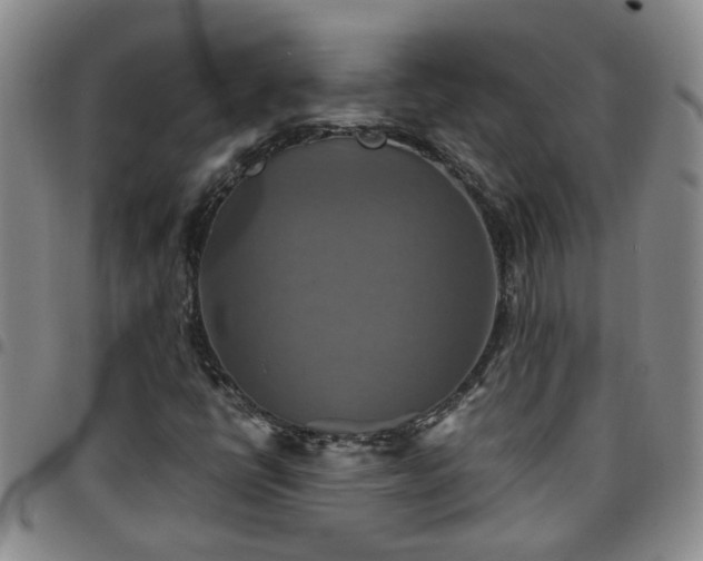 X0000097781398200803141757