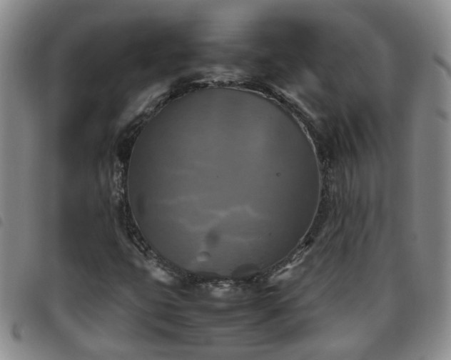 X0000097781399200803141757