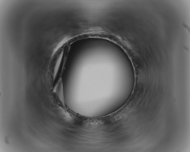 X0000097781400200803141757
