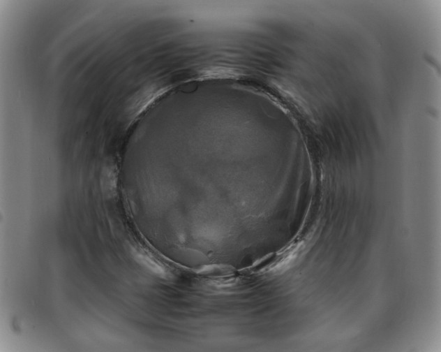 X0000097781401200803141757