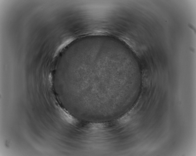 X0000097781402200803141757