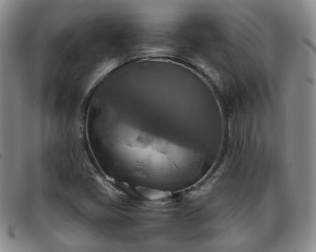 X0000097781405200803141757