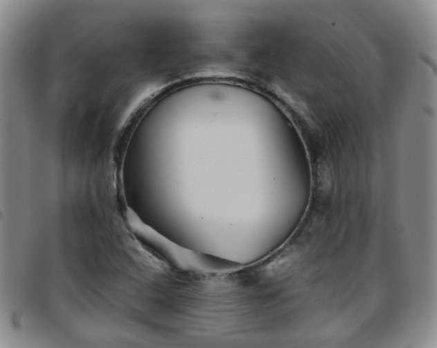 X0000097781408200803141757