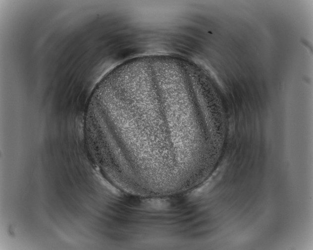 X0000097781409200803141757
