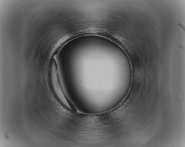 X0000097781410200803141757