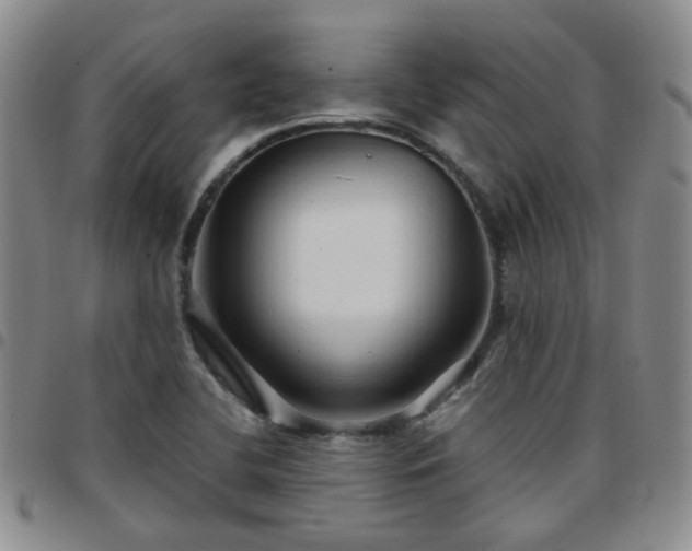 X0000097781412200803141757