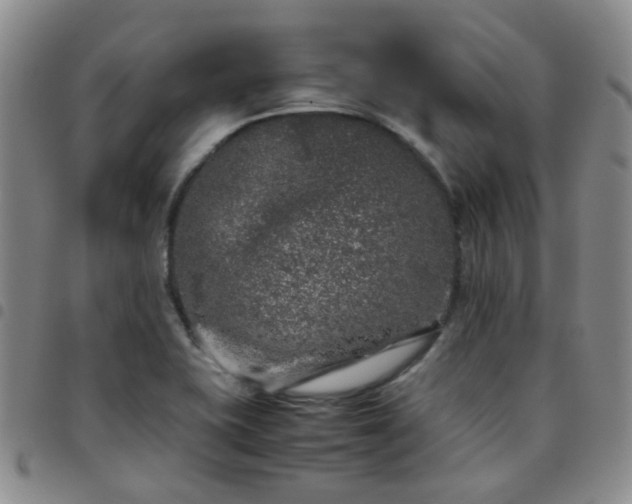 X0000097781415200803141757