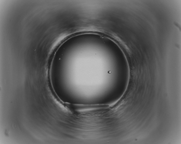 X0000097781416200803141757