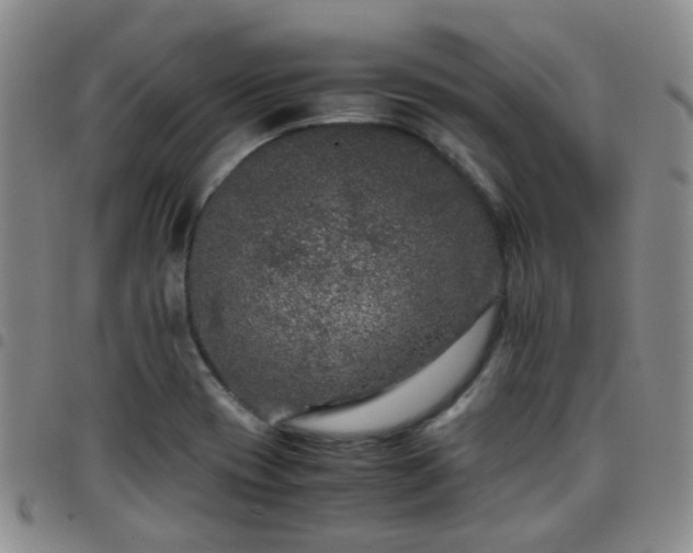 X0000097781417200803141757